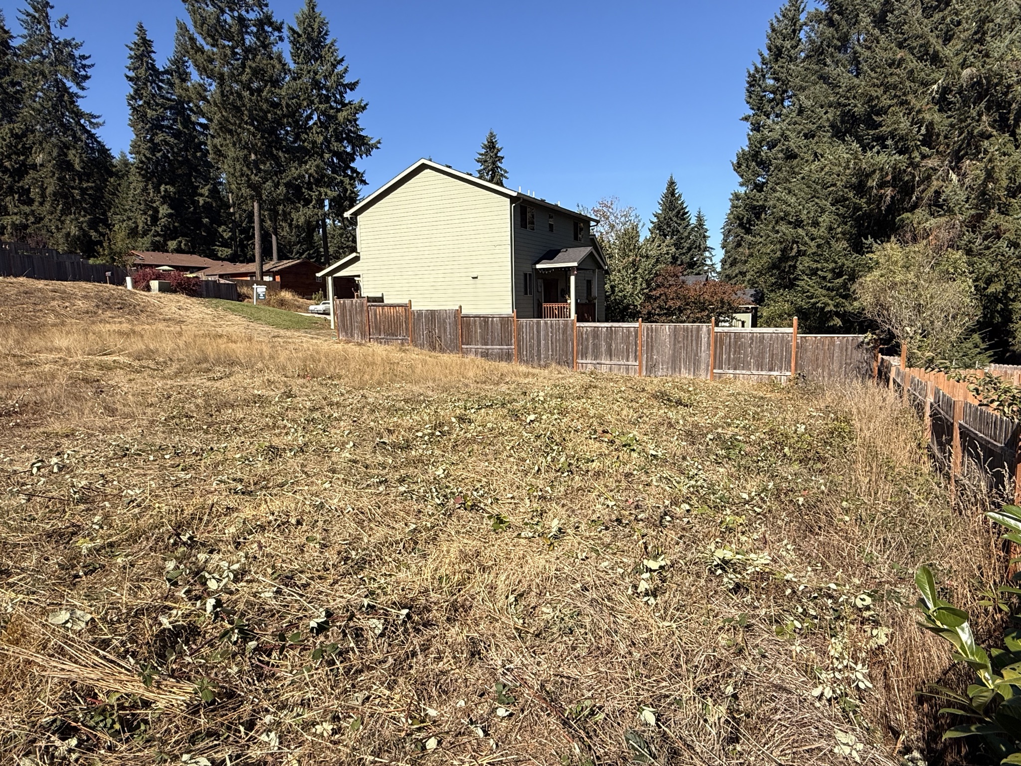 0 10th St, Veneta, OR &mdash; photo 4 of 15