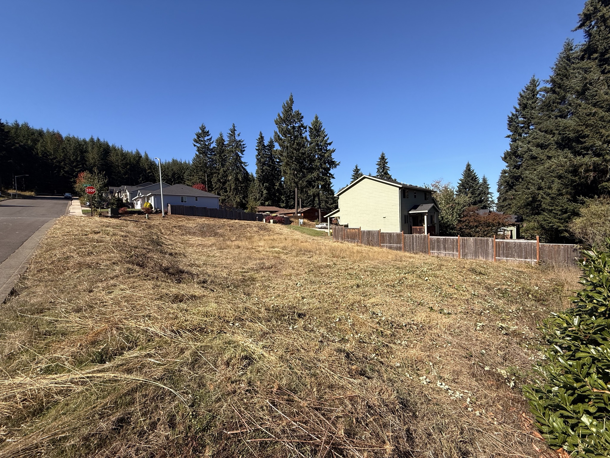 0 10th St, Veneta, OR &mdash; photo 6 of 15