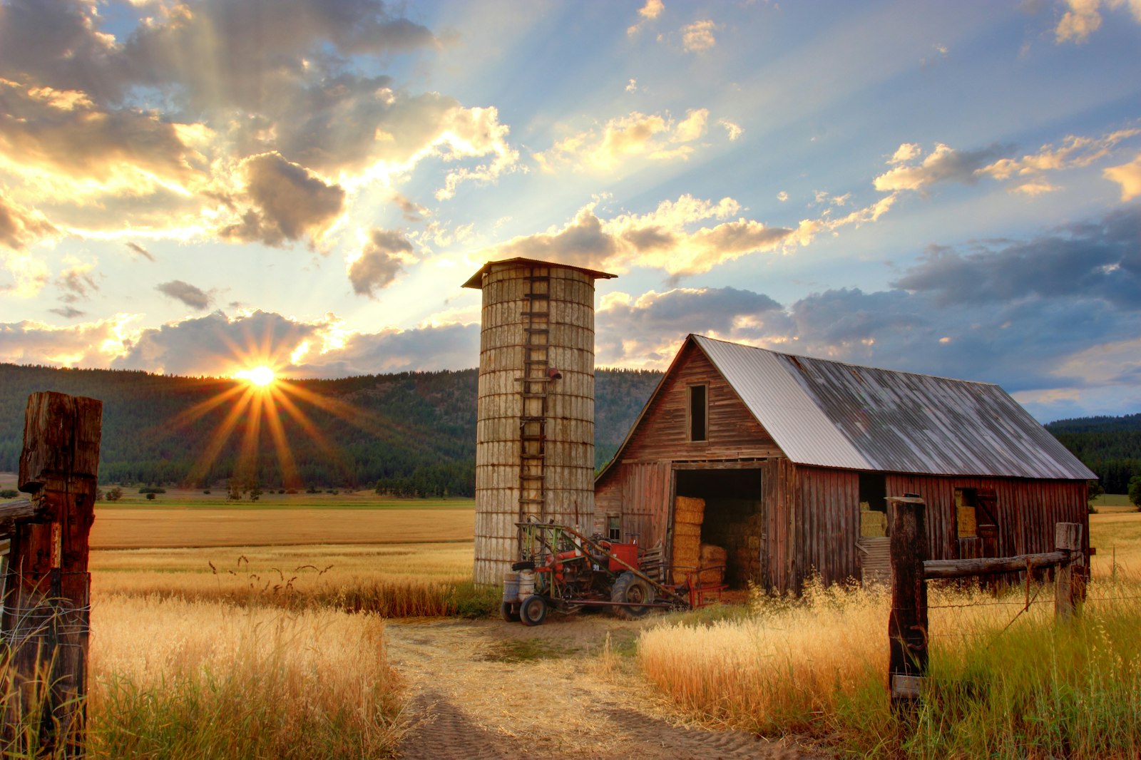 Barn at sunset near Elmira, Oregon