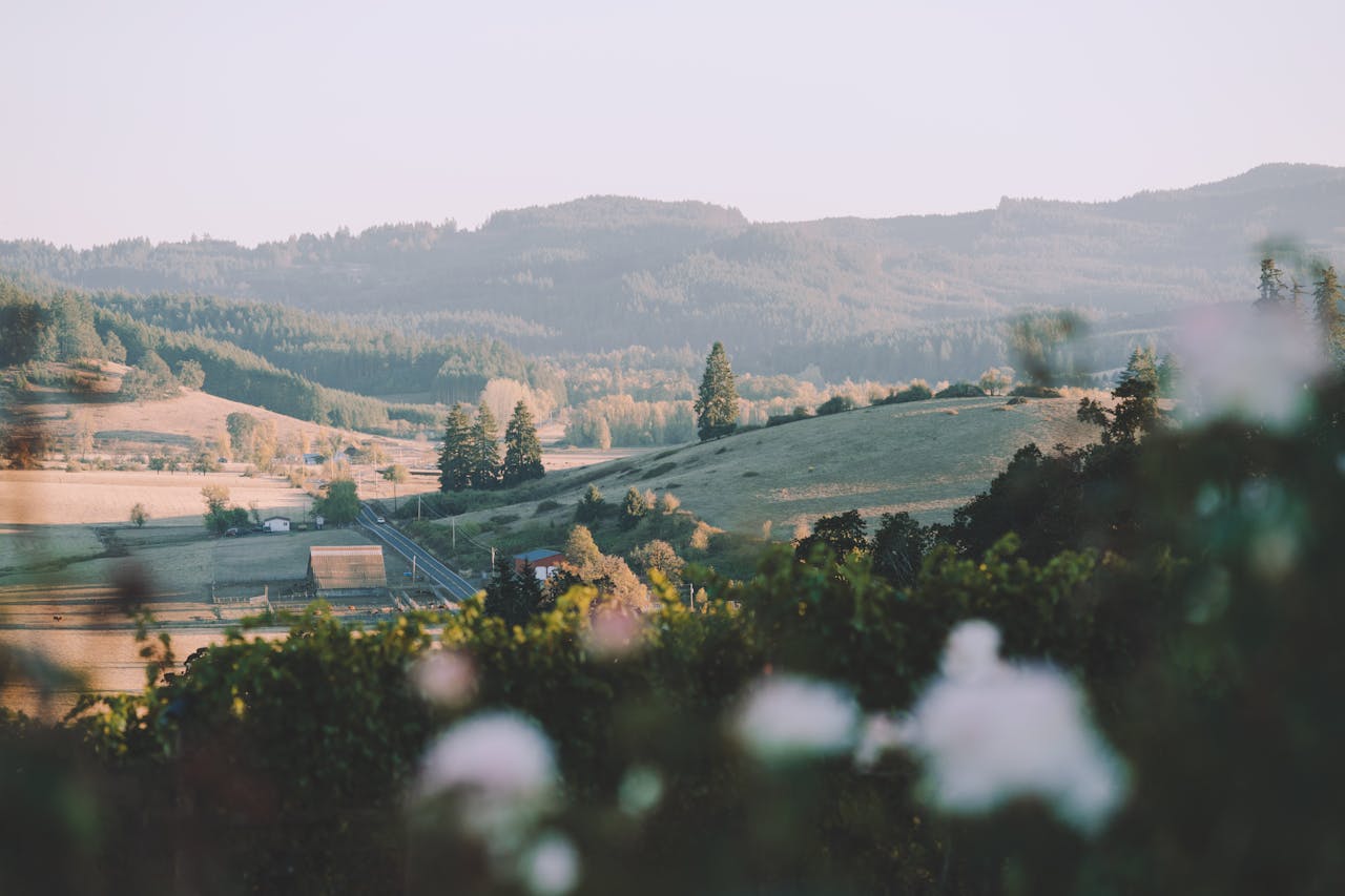 Willamette Valley near Corvallis, Oregon