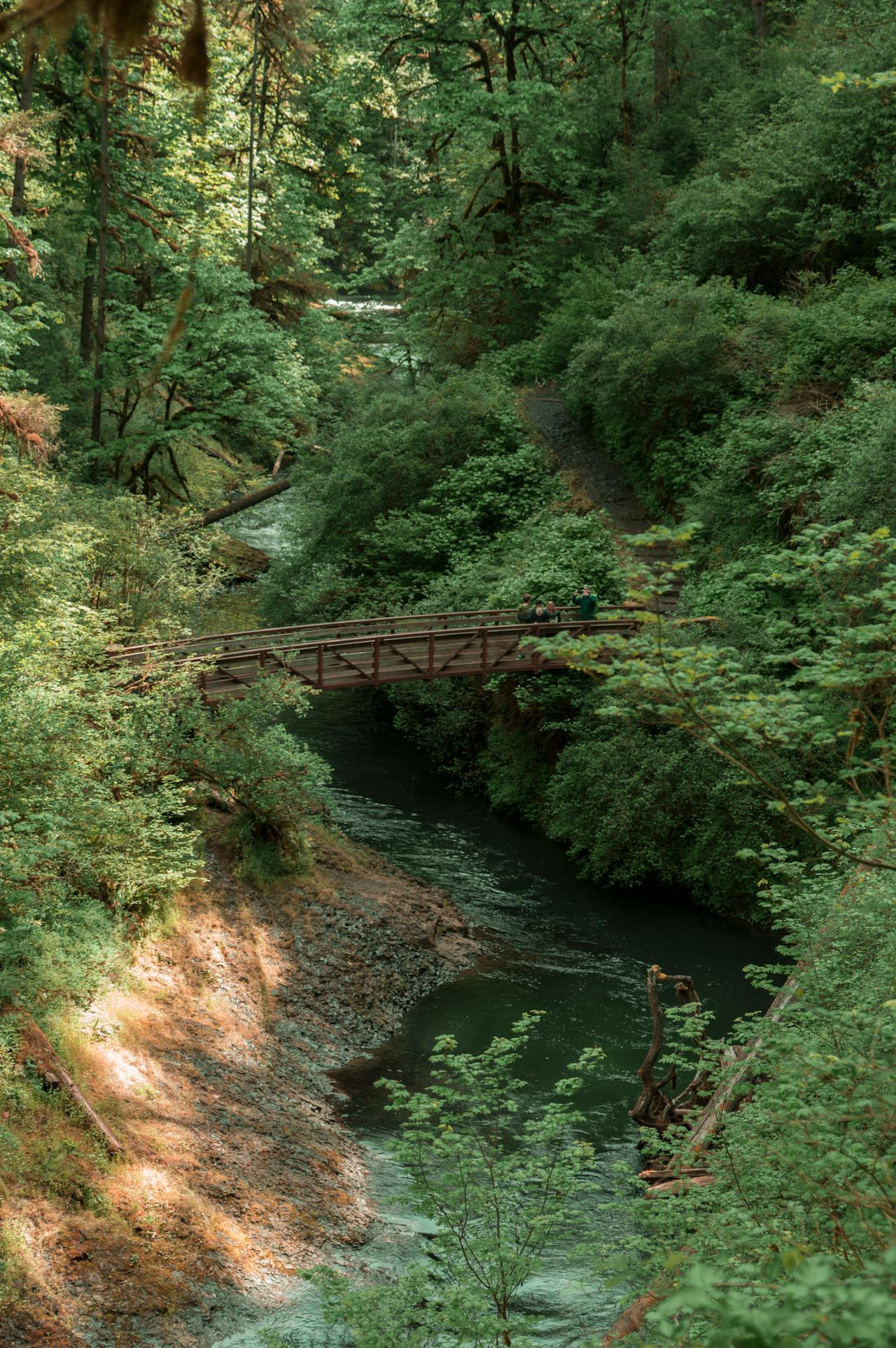 Covered bridge near Cottage Grove, Oregon