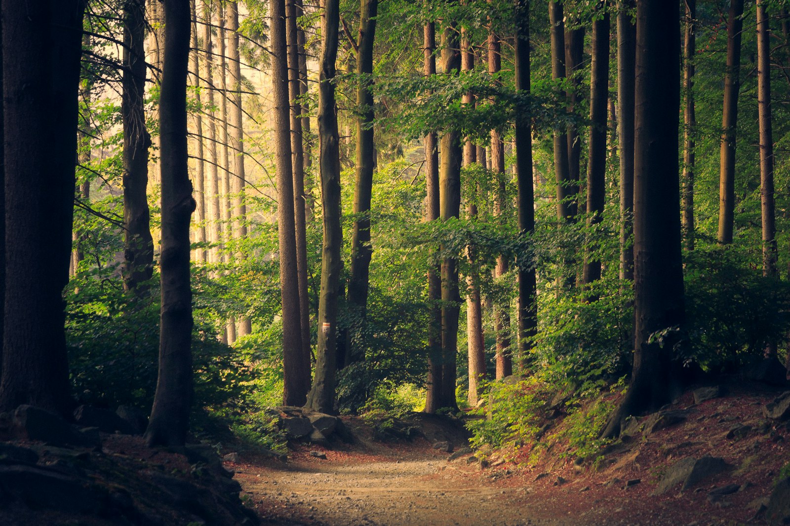 Water Rights in Oregon: A Buyer’s Primer