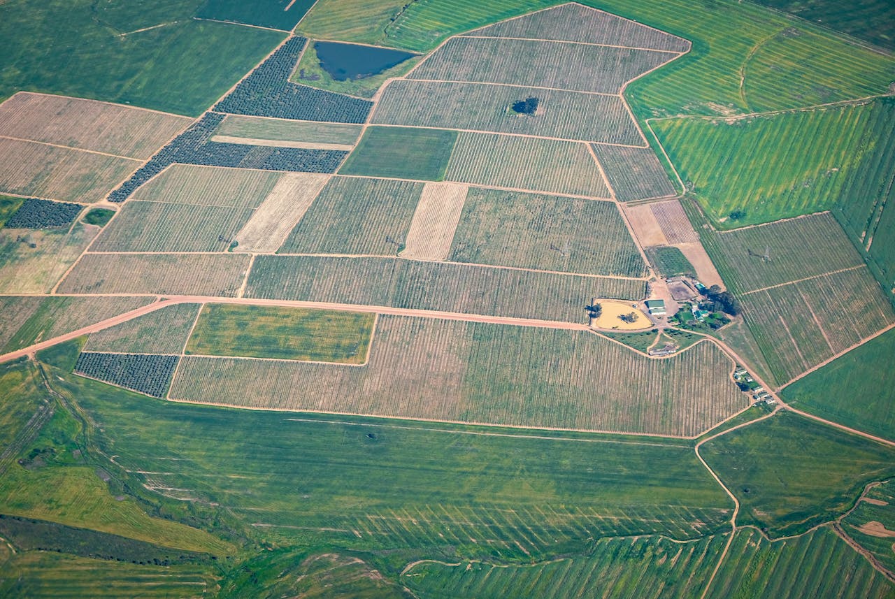 Aerial view of Willamette Valley farmland